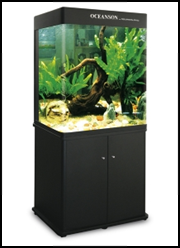 akvarium leasing