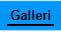 Galleri